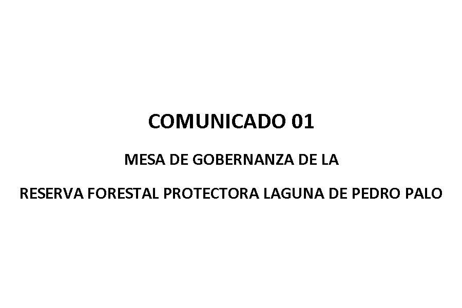 Mesa de Gobernanza – Reserva Forestal – Laguna de Pedro Palo