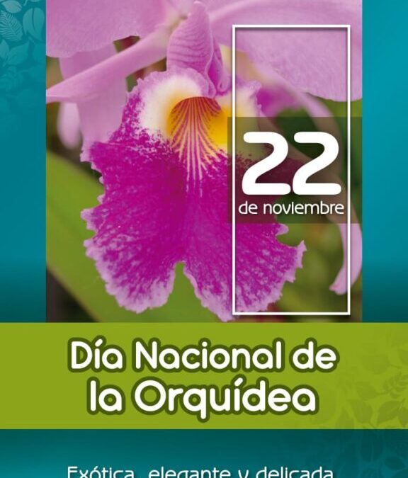 Dia Nacional de la Orquidea