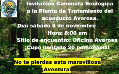 Evento – Caminata ecológica